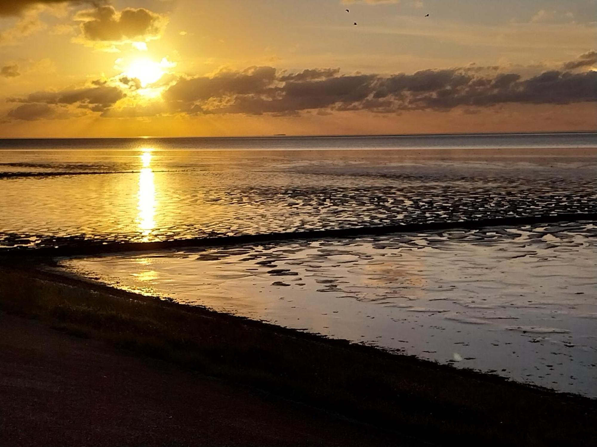 فيلا Wad Fijn سيكْسْبيريم المظهر الخارجي الصورة