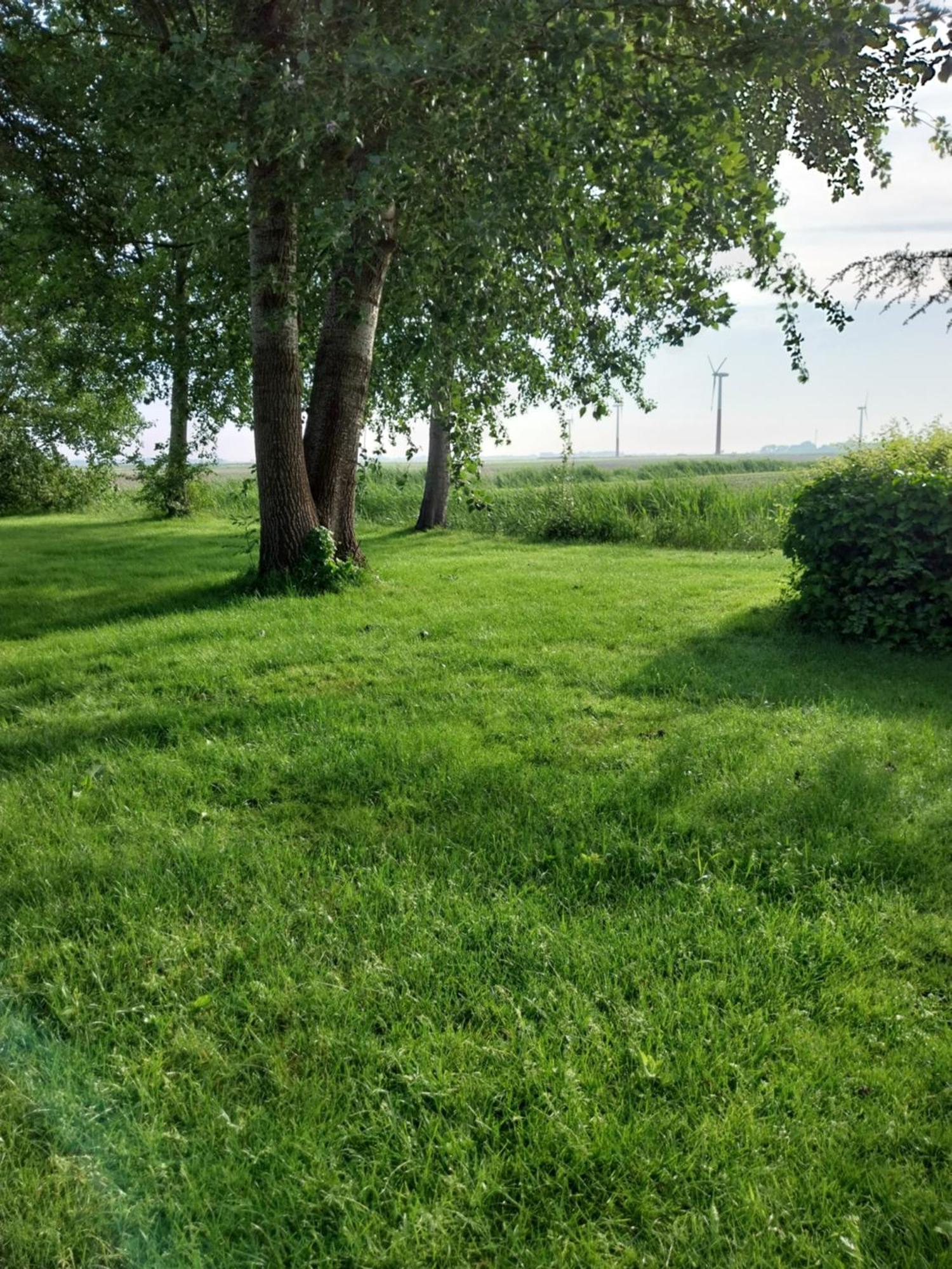 فيلا Wad Fijn سيكْسْبيريم المظهر الخارجي الصورة